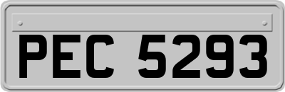 PEC5293