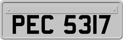 PEC5317