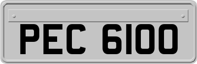 PEC6100