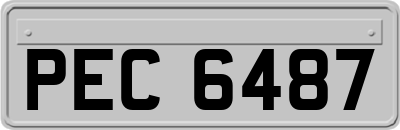 PEC6487