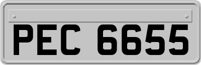 PEC6655
