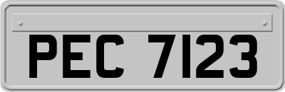 PEC7123