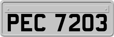PEC7203