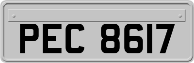 PEC8617