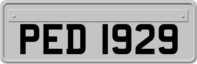 PED1929