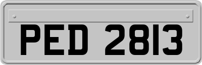 PED2813