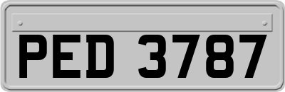 PED3787