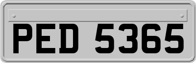 PED5365