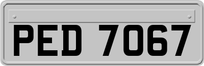 PED7067