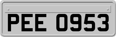 PEE0953