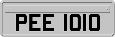 PEE1010