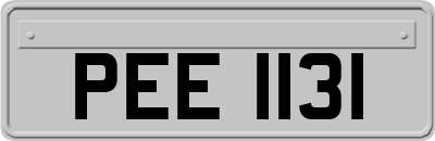 PEE1131