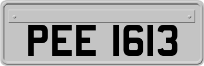 PEE1613