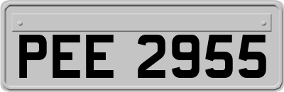 PEE2955
