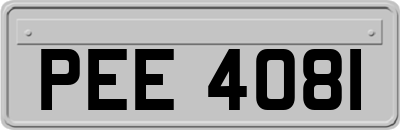 PEE4081