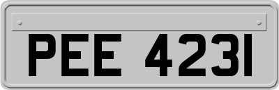 PEE4231