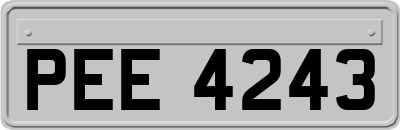 PEE4243