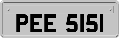 PEE5151