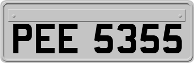 PEE5355