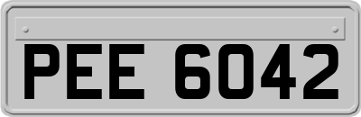 PEE6042