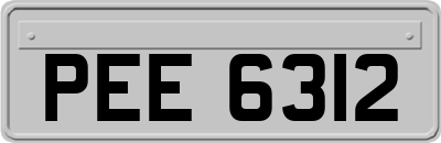 PEE6312