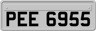 PEE6955