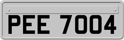 PEE7004