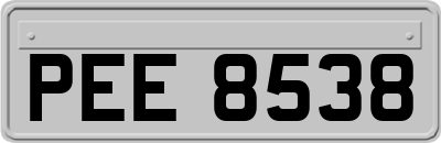 PEE8538