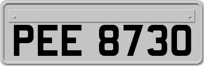 PEE8730