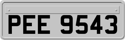 PEE9543