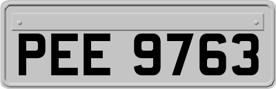 PEE9763