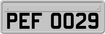 PEF0029