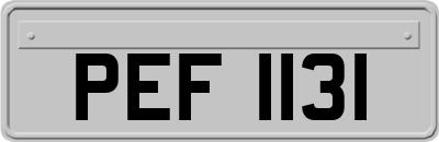 PEF1131