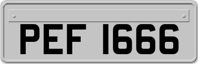 PEF1666