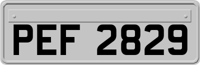 PEF2829