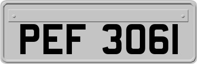 PEF3061