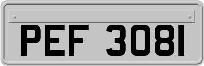 PEF3081