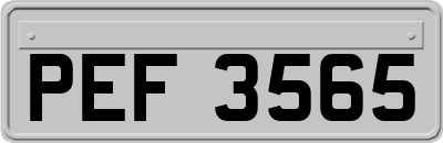 PEF3565