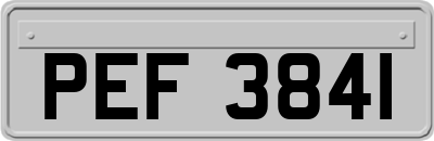 PEF3841