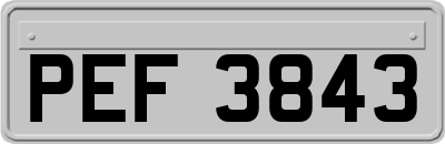 PEF3843