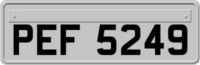 PEF5249