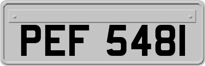 PEF5481