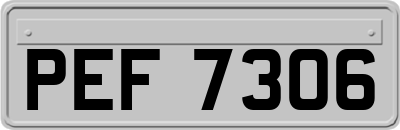 PEF7306