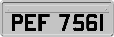 PEF7561