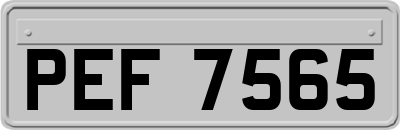 PEF7565