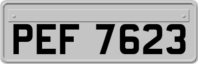 PEF7623