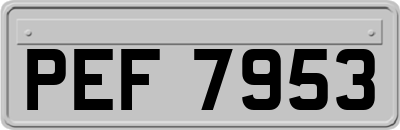 PEF7953
