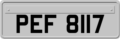 PEF8117