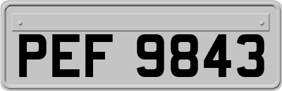 PEF9843