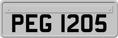 PEG1205